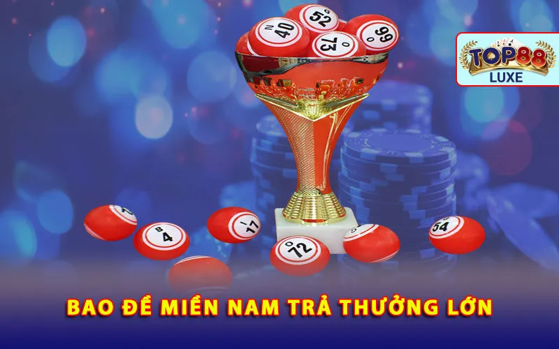 bao-de-mien-nam-tra-thuong-lon