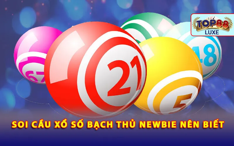 soi-cau-xo-so-bach-thu-newbie-nen-biet